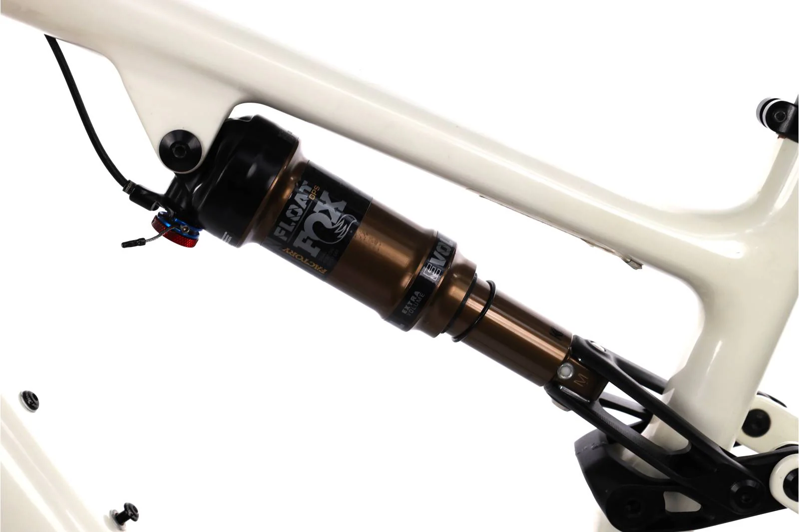 Immagine prodotto 24